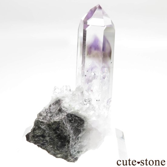 ʥߥӥ ֥ɥС Goboboseb ᥸Ȥθ No.6μ̿1 cute stone