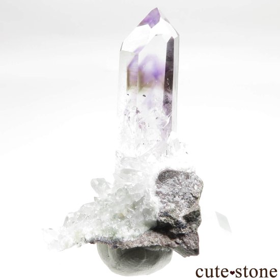 ʥߥӥ ֥ɥС Goboboseb ᥸Ȥθ No.6μ̿2 cute stone