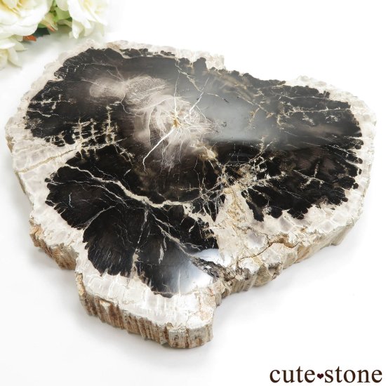 ڥȥեɥåɡʷڡˤΥ饤 No.9μ̿0 cute stone