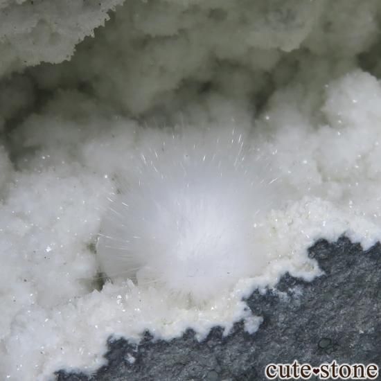  Mumbai ʥȡġ㥤饤Ȥդ No.31μ̿1 cute stone