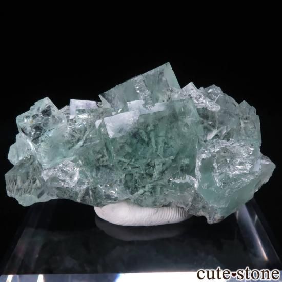  Xianghualing Mine ꡼ե饤Ȥθ No.52