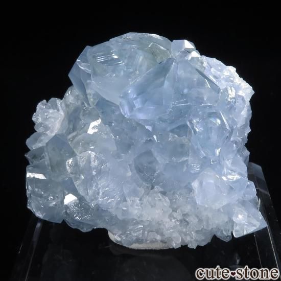 ޥ뻺 쥹ȤθСʥ饹No.25