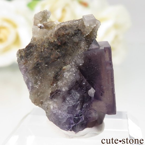 µ Jingbian ѡץߥե饤ȡĤθ No.1μ̿1 cute stone