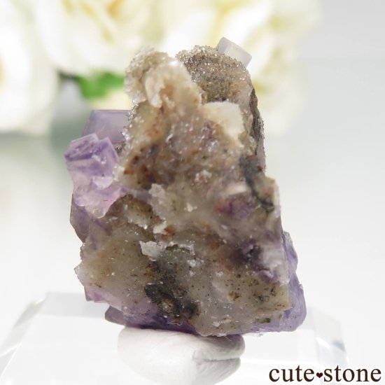 µ Jingbian ѡץߥե饤ȡĤθ No.1μ̿2 cute stone