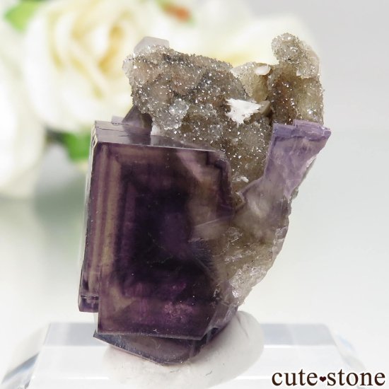 µ Jingbian ѡץߥե饤ȡĤθ No.1μ̿3 cute stone