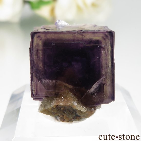 µ Jingbian ѡץߥե饤ȡĤθ No.2μ̿0 cute stone