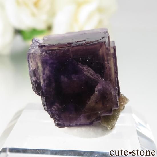 µ Jingbian ѡץߥե饤ȡĤθ No.2μ̿1 cute stone