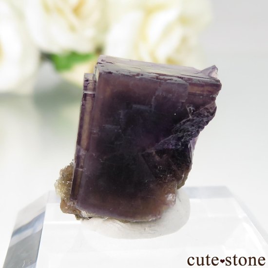 µ Jingbian ѡץߥե饤ȡĤθ No.2μ̿3 cute stone