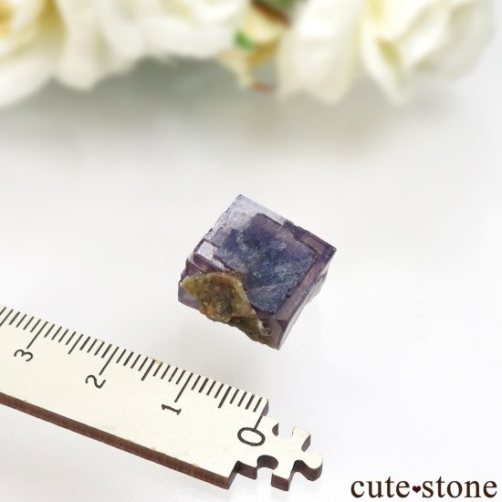 µ Jingbian ѡץߥե饤ȡĤθ No.2μ̿4 cute stone