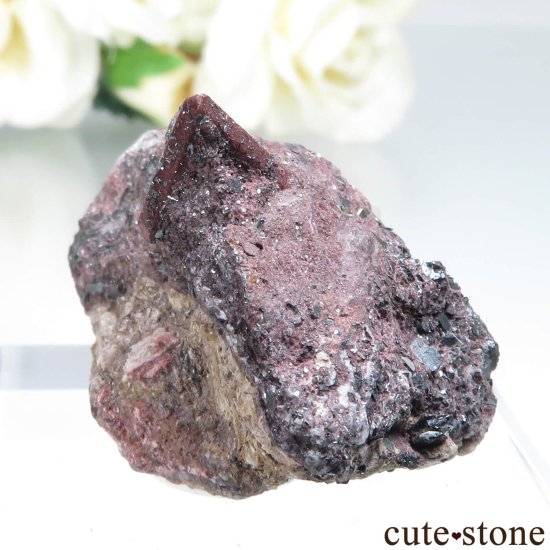  Qalat Payeen ˥ȡʥСˡإޥȤդ No.32μ̿2 cute stone