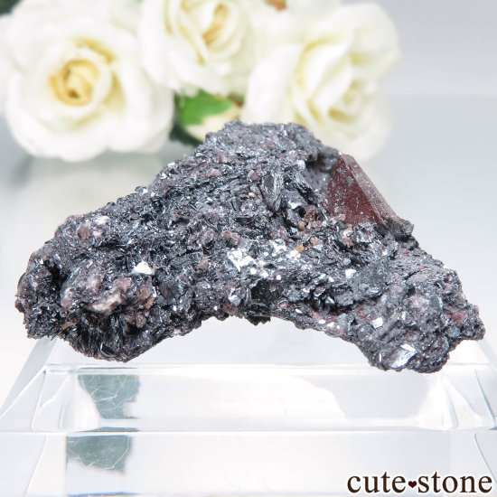  Qalat Payeen ˥ȡʥСˡإޥȤդ No.34μ̿0 cute stone