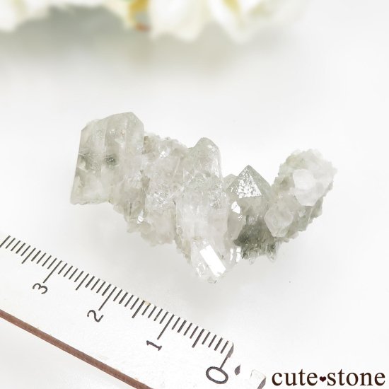  Lotschental ġʥץ徽ˤθ No.1μ̿2 cute stone