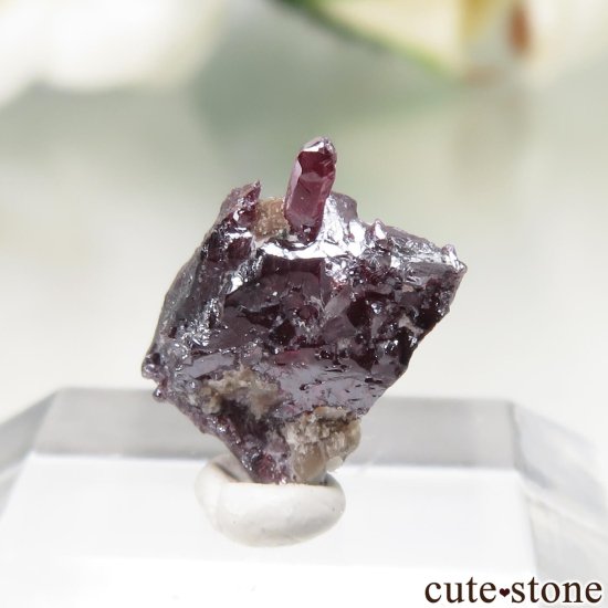 å Bou Azzer ץ롼Ȥθ No.1μ̿0 cute stone