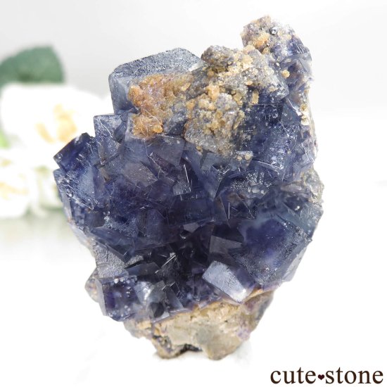 䥪󥷥 ֥롼ե饤Ȥθ No.84μ̿1 cute stone
