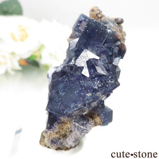 䥪󥷥 ֥롼ե饤Ȥθ No.84μ̿2 cute stone