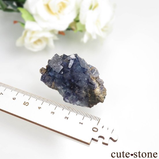 䥪󥷥 ֥롼ե饤Ȥθ No.84μ̿3 cute stone