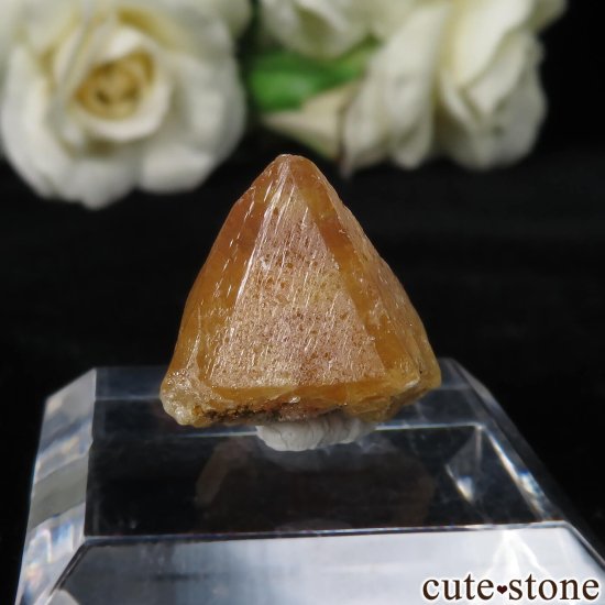  ʻ 饤Ȥθ No.8μ̿1 cute stone