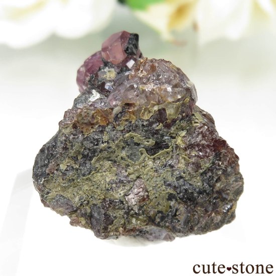 󥶥˥ Winza ѡץԥ󥯥եθ No.1μ̿2 cute stone