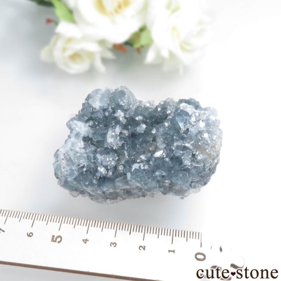 ʥꥢ Jalingo ֥롼ե饤ȡĤθ No.1μ̿7 cute stone