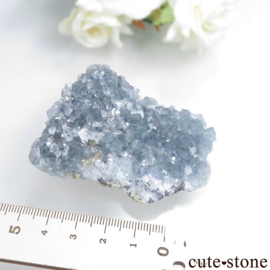 ʥꥢ Jalingo ֥롼ե饤ȡĤθ No.2μ̿5 cute stone