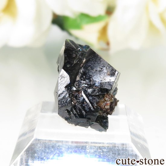 ʥ 桼 ԥåɥ꡼ 饺饤(ŷ)ǥ饤Ȥθ No.39μ̿0 cute stone