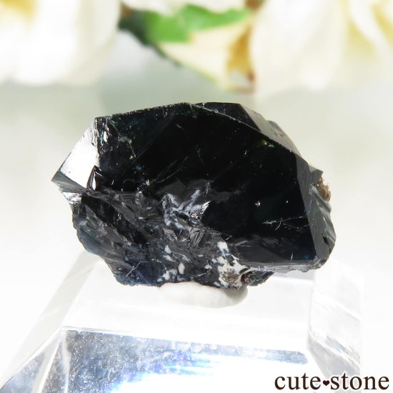 ʥ 桼 ԥåɥ꡼ 饺饤(ŷ)ǥ饤Ȥθ No.39μ̿1 cute stone