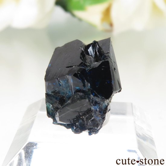 ʥ 桼 ԥåɥ꡼ 饺饤(ŷ)ǥ饤Ȥθ No.39μ̿2 cute stone