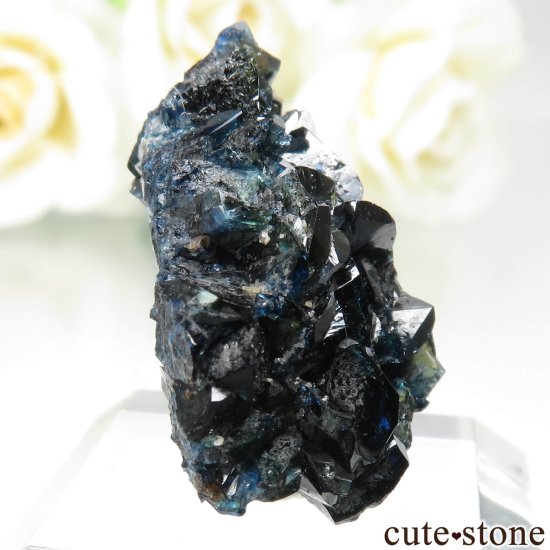 ʥ 桼 ԥåɥ꡼ 饺饤(ŷ)ǥ饤Ȥθ No.40μ̿0 cute stone
