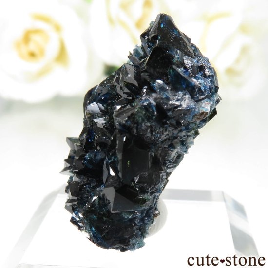 ʥ 桼 ԥåɥ꡼ 饺饤(ŷ)ǥ饤Ȥθ No.40μ̿2 cute stone