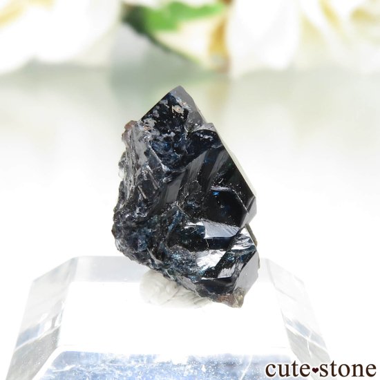 ʥ 桼 ԥåɥ꡼ 饺饤(ŷ)ǥ饤Ȥθ No.41μ̿0 cute stone