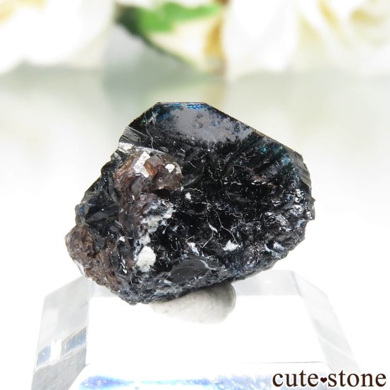 ʥ 桼 ԥåɥ꡼ 饺饤(ŷ)ǥ饤Ȥθ No.41μ̿1 cute stone