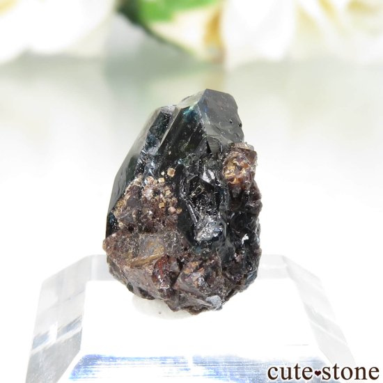 ʥ 桼 ԥåɥ꡼ 饺饤(ŷ)ǥ饤Ȥθ No.41μ̿2 cute stone
