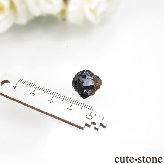 ʥ 桼 ԥåɥ꡼ 饺饤(ŷ)ǥ饤Ȥθ No.41μ̿4 cute stone