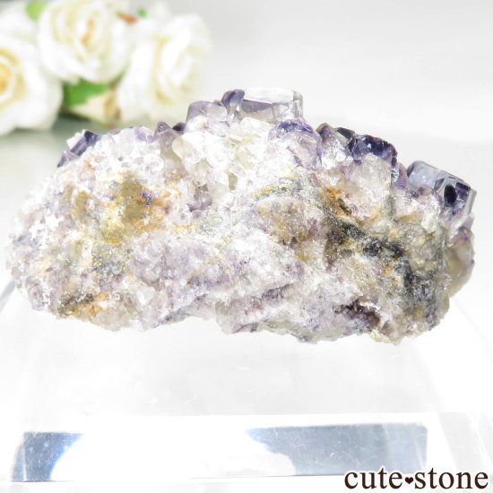 ʥߥӥ Okorusu Mine Purple Bunny PocketD Pit˻ ե饤Ȥθ No.31μ̿3 cute stone