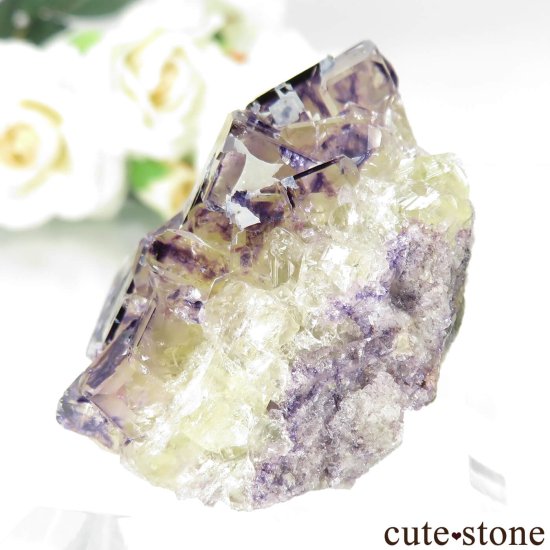 ʥߥӥ Okorusu Mine Purple Bunny PocketD Pit˻ ե饤Ȥθ No.32μ̿3 cute stone