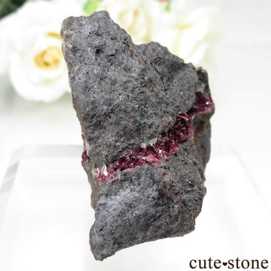 å Bou Azzer ꥹ饤Ȥθ No.11μ̿0 cute stone