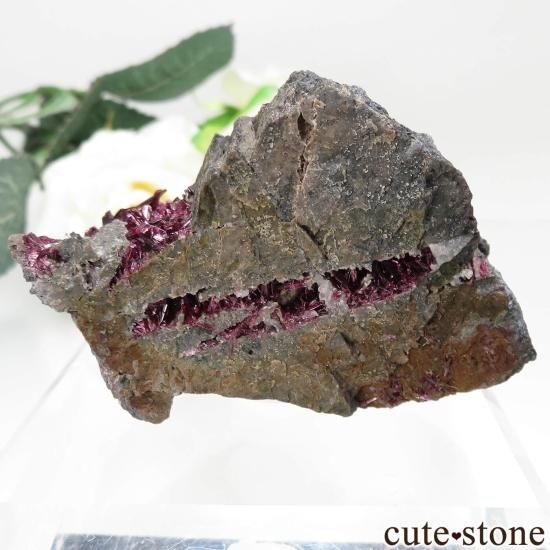 å Bou Azzer ꥹ饤Ȥθ No.11μ̿1 cute stone