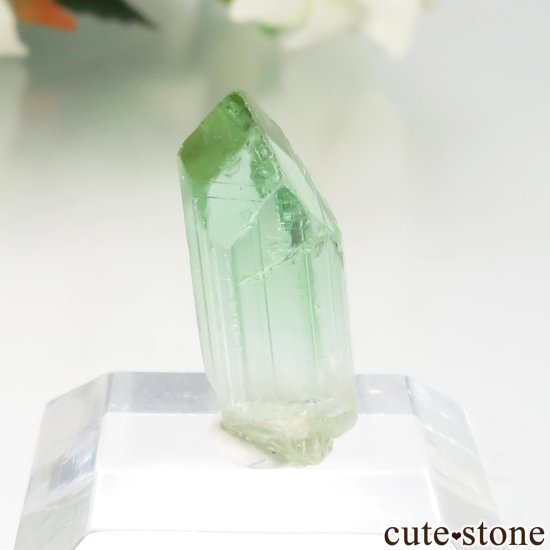  Rubaya ꡼ȥޥθ No.2μ̿0 cute stone