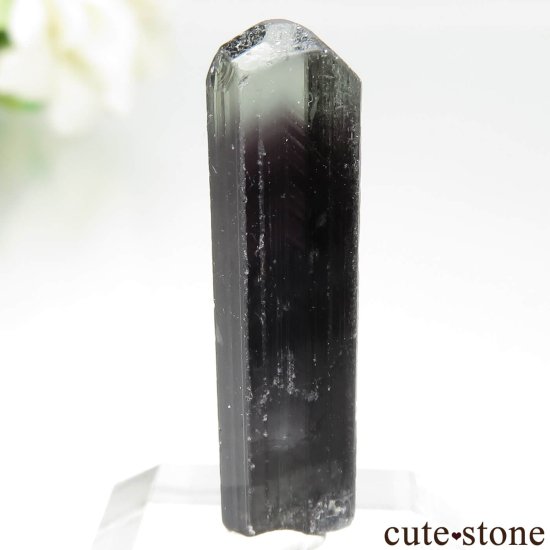  Rubaya ꡼ߥѡץȥޥθ No.3μ̿2 cute stone