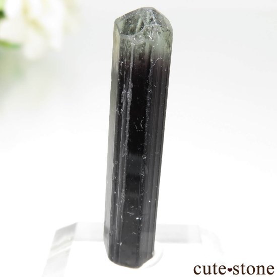  Rubaya ꡼ߥѡץȥޥθ No.3μ̿3 cute stone