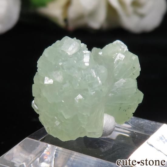 å Midelt ܤߤʥץʥȤθ No.6μ̿1 cute stone