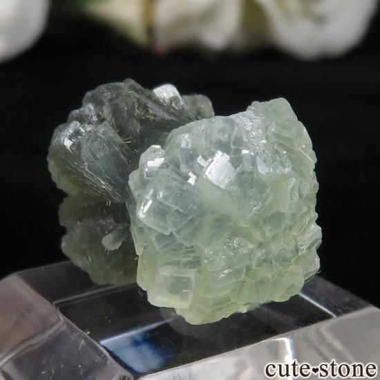 å Midelt ܤߤʥץʥȤθ No.7μ̿0 cute stone