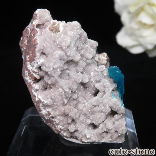  ץ͡ Wagholi Х󥵥ȡʥܥˤդ No.48μ̿1 cute stone