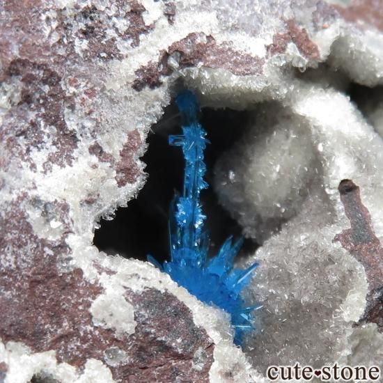  ץ͡ Wagholi ڥ󥿥ʥȤθ No.3μ̿1 cute stone