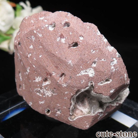  ץ͡ Wagholi ڥ󥿥ʥȤθ No.3μ̿2 cute stone