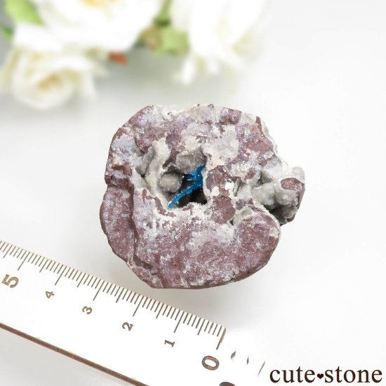  ץ͡ Wagholi ڥ󥿥ʥȤθ No.3μ̿4 cute stone