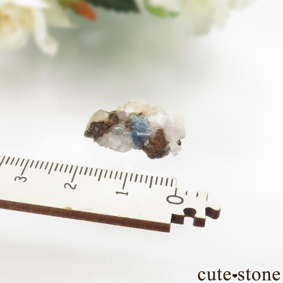 ȥꥢ Farbergraben 饺饤(ŷ)θ No.3μ̿2 cute stone