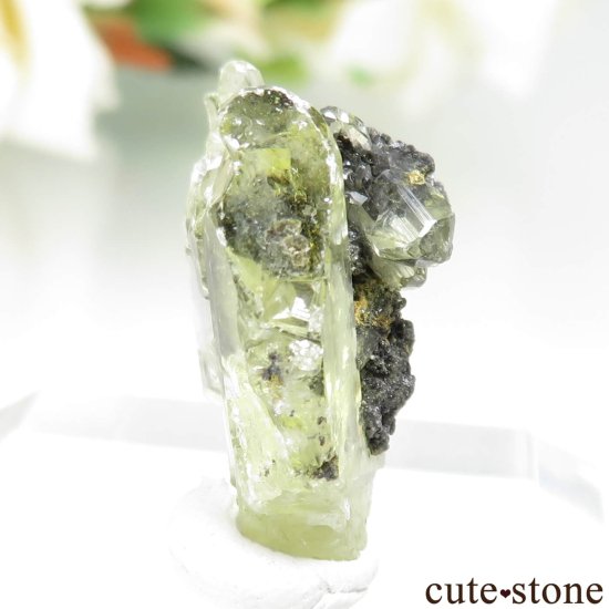 å Touissit 󥰥쥵Ȥθ No.1μ̿0 cute stone