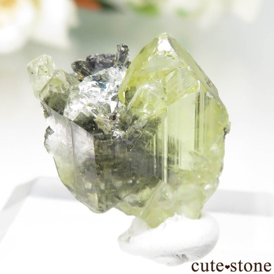 å Touissit 󥰥쥵Ȥθ No.1μ̿1 cute stone