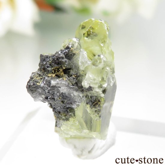 å Touissit 󥰥쥵Ȥθ No.1μ̿2 cute stone
